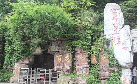 【悦色张家界】橘子洲、凤凰古城、芙蓉镇、张家界 森林公园、天门山森林公园、大型实景演出魅力湘西 6 日