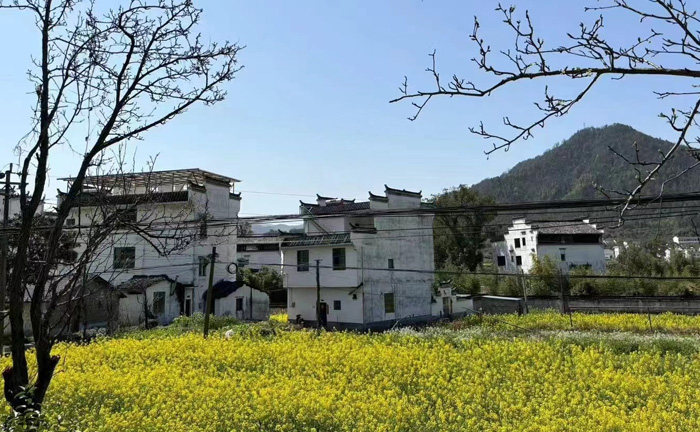 【悦色江西】登庐山、三清山、篁岭梯田花海、观仙侠望仙谷夜景、赏演出遇见婺源、夜宿婺女洲双飞6日 